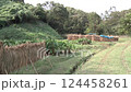 里山景觀A 里山景觀A 124458261