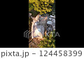 Traditional Trullo in Puglia Aerial View 124458399