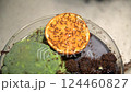 Ants eating orange and broccoli in the laboratory 124460827