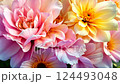 Blossoming harmony: vibrant pink and yellow flowers in stunning bloom transition 124493048