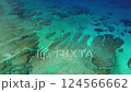 沖縄、チービシ、海、ドローン映像、珊瑚礁、船、ダイビング、シュノーケリング、自然、風景、南国、夏、海 124566662