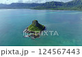 ハワイ、クアロア、チャイナマンズハット,海、ビーチ、ドローン、夏、海岸 124567443