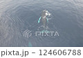 ホエールウォッチング、ドローン撮影 124606788