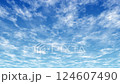 青い空に流れる雲 124607490