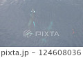 ホエールスイム　ドローン撮影 124608036
