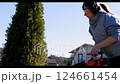 Gardening enthusiast trims green shrub near home under clear blue sky during bright afternoon 124661454