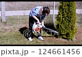 Gardening techniques demonstrated in backyard using leaf blower during sunny afternoon 124661456