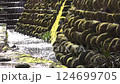 A sparkling stream and moss-covered stone walls 124699705