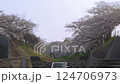 Morning sun and cherry blossoms along the river 124706973