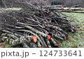 cut down trees and wood lying in meadow 124733641