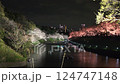 東京千代田區九段千鳥淵夜櫻盛開 124747148
