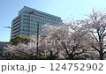 Saga Prefectural Office and cherry blossom trees in full bloom Fix 124752902