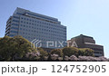 Saga Prefectural Office and cherry blossom trees in full bloom Fix 124752905
