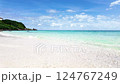 beach, cliff, coast 124767249