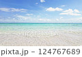 beach, coast, island 124767689