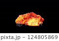 Explosion VFX 124805869