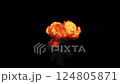 Explosion VFX 124805871