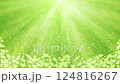 森　花が咲く　光　キラキラ 124816267