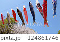 鯉魚旗 124861746