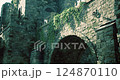 Ruins of a medieval castle surrounded by dense greenery in bright daylight 124870110