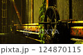 Industrial gear against a weathered wall with creeping vines in dim light 124870115