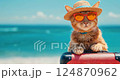 cat tourist in sunglasses standing with suitcase going on summer holiday trip 124870962