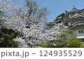 日本三重縣津市的櫻花與津城 124935529