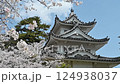 日本三重縣津市的櫻花與津城 124938037