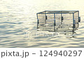Cages for fishing, constructed from blue PVC pipes covered with rope nets. Float with white plastic buoys on the water surface with glow of the sun. 124940297