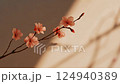 Beautiful peach blossoms and light and shadow on the wall 124940389
