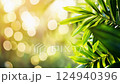 Green Leaf Spot Background 124940396