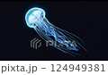 Close-up footage of a jellyfish swimming slowly in water 124949381
