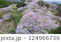 都城市繡球花公園，2025年春季 124966736