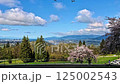 Time-lapse video of the vast view from Burnaby Mountain Park with cherry blossoms in bloom, Canada Time-lapse video of the vast view from Burnaby Mountain Park with cherry blossoms in bloom, Canada 125002543