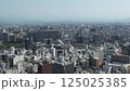 熊本市街と熊本城200°パノラマ（ドローン空撮） 125025385