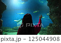 Woman observes fish through aquarium glass, surrounded deep blue water 125044908