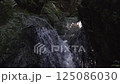 Water flow　 125086030