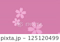 Cherry blossom petals falling on pink background - seamless 4K loop animation 125120499