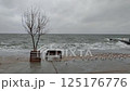 Dramatic seafront view with crashing waves, overcast sky, wooden bench, leafless tree and a flock of seagulls on a wet pavement 125176776