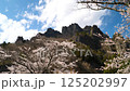 Mt. Myogi and cherry blossoms_01 125202997