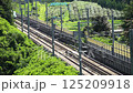 Shinkansen train passing through fields 125209918