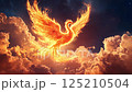 燃える鳥 鳳凰 フェニックス 不死鳥 125210504