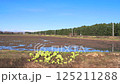 Spring trains on the Sassho Line (part 10) 125211288