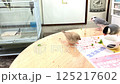 一隻日本灌木鶯、一隻孟加拉雀和一隻金絲雀正在進食 125217602