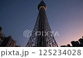 朝日を浴びる東京スカイツリー／Sun-kissed SkyTree 125234028