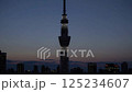 彩る空の変化と東京スカイツリー / color shift sky 125234607