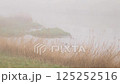 Morning mist: A misty river_02 125252516