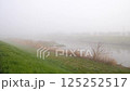 Morning mist: A misty river_01 125252517