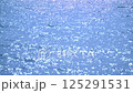 Sea surface glitter 125291531