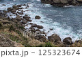 海 125323674